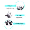 Picture of VAVALASH Individual Cluster Lashes 48 PCS DIY Eyelash Extension Light and Soft Faux Mink Slik Lash Clusters Easy Full Lash Extensions DIY at Home (V06,C Curl-10mm)