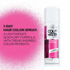 Picture of L’Oréal Paris Colorista 1-Day Washable Temporary Hair Color Spray, Hot Pink, 2 Ounces