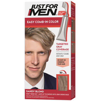 Picture of Just For Men Easy Comb-In Color Mens Hair Dye, Easy No Mix Application with Comb Applicator - Sandy Blond, A-10, Pack of 1