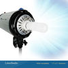 Picture of LimoStudio JDD 250W Frost Type E26 Base Flash Tube Lamp 120 Volt Light Bulb for Flash Strobe Light, Monolight, Barndoor Light, AGG1795