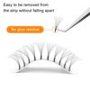 Picture of Volume Lash Extensions 3D-8D Premade Fans Eyelash Extensions Mixed Tray 9-16mm 12-15mm .07/.10 C/D Curl Premade Fans Volume Eyelash Extensions 8-20mm Long Stem Premade Lash Fans(6D .10D 8)