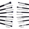 Picture of MSQ Eye Makeup Brushes 12pcs Eyeshadow Makeup Brushes Set with Soft Synthetic Hairs & Real Longer Wood Handle for Eyeshadow, Eyelash,Eyebrow, Eyeliner, Blending, Conclear(Black)