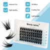 Picture of Cluster Eyelashes Individual Lashes Mink 12-18mm Volume Cluster Lashes Extensions Soft Bond 3D Effect Wispy Individual Cluster Eyelash Extensionss by WENDY LASHES(13mm)