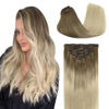 Picture of GOO GOO Human Hair Extensions Clip in Ombre Ash Brown to Platinum Blonde Remy Clip in Hair Extensions Straight 120g Natural Thick Hair Weft 16 Inch Real Hair Extensions Clip in