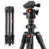 Picture of K&F Concept 64 inch/163cm Carbon Fiber Camera Tripod,Lightweight Travel Tripod with 36mm Metal Ball Head Load Capacity 8kg/17.6lbs,Quick Release Plate,for DSLR Cameras Indoor Outdoor Use K254C2+BH-36L