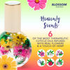 Picture of Blossom Heavenly Hemp Therapeutic, Hydrating, Moisturizing, Strengthening, Scented Cuticle Oil, Infused with Real Flowers, Made in USA, 0.42 fl. oz, Hibiscus Hemp