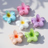 Picture of Sisiaipu Flower Claw Clips 6 Pcs Large Hair Claw Clips for Thick Hair Hawaiian Hair Clips 3.3 inch Medium Claw Clips for Thin Hair Plumeria Hair Clips Strong Hold Nonslip Hair Clips Beach Hair Accessories for Women and Girls -Hawaii