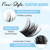 Picture of GEMERRY Cluster Lashes Lash Clusters Fluffy Individual Lashes Two Styles Eyelash Clusters Wide Stem Soft Wispy Eyelash Extension Clusters DIY at Home(Forest/Ocean-0.07-D-8-16MIX)