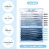 Picture of Individual Lashes Large Tray 240pcs 0.07mm 10D+20P C Curl Mix 8-16mm Lash Clusters Soft&Comfortable Cluster Lashes Mink Individual Lash Clusters Mixed Tray False Eyelashes By GEMERRY