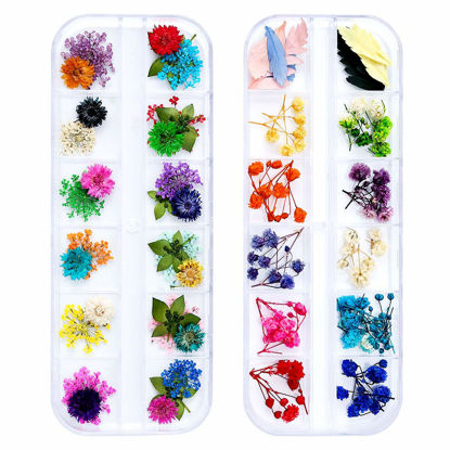 Picture of iFancer 90 Pcs Nail Dried Flowers 36 Colors 3D Nail Art Real Flowers Nature Dry Petals Leaves Decor for Nail Art Design Manicure Decoration