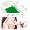 Picture of Easy Fan Volume Lashes .07 D Curl Green Volume Lash Extensions 9-16mm Mixed Lash Tray Color Lashes Extension Self Fanning 2D-10D Volume Eyelash Extensions by QUEWEL (Green 0.07 D 9-16mm)