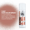 Picture of L’Oréal Paris Colorista 1-Day Washable Temporary Hair Color Spray, Rose Gold, 2 Ounces