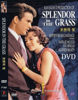 Picture of Splendor in The Grass (1961) DVD