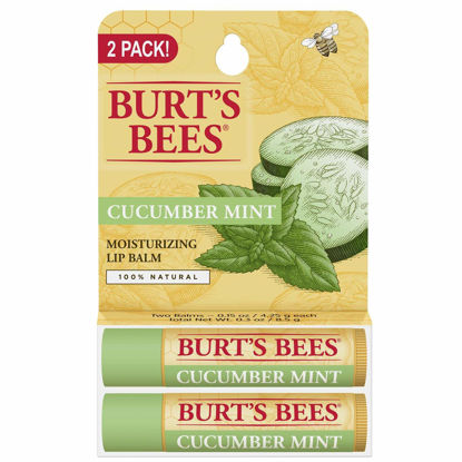 Picture of Burt's Bees 100% natural moisturizing lip balm, cucumber mint with beeswax, 2 Count