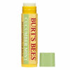 Picture of Burt's Bees 100% natural moisturizing lip balm, cucumber mint with beeswax, 2 Count