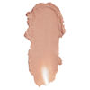 Picture of COVERGIRL Exhibitionist Lipstick Cream, Caramel Kiss 240, Lipstick Tube 0.123 OZ (3.5 g)