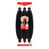 Picture of X-pression Braid Outre Crochet Braids X-Pression Twisted Up 3X Springy Afro Twist 24inch (1-Pack, 2T1B/27)