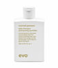 Picture of EVO Normal Persons Daily Care Shampoo - Deeply Cleanses, Removes Product Build-Up & Strengthens All Hair Types - 300ml / 10.1fl.oz