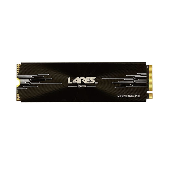 Picture of LEVEN JPS600 1TB PCIe NVMe Gen3x4 PCIe M.2 2280 SSD with Thermal Pad and Heat Sink