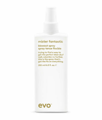 Picture of evo Mister Fantastic Blowout Spray - Improves Style, Builds Body & Reduces Blow-Drying Time - Heat Protection Styling Spray - 200ml / 6.8fl.oz