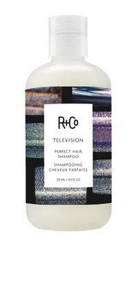 Picture of R+Co Television Perfect Hair Shampoo | Body + Shine + Smoothing for All Hair Types | Vegan + Cruelty-Free | 8.5 Oz
