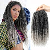 Picture of Bileaf Passion Twist Crochet Hair 8 Packs Pre Twisted Crochet Hair for Black Women, 14 Inch Pre Looped Passion Twist Hair Crochet Braids for Black Women Ombre Crochet Passion Twist Hair T-Gray