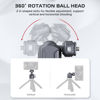 Picture of FALCAM F22 Quick Release Tripod Ball Head, 360° Rotatable Aluminum Tripod Head Mount w/ Arca Swiss 22mm QR Plate & 1/4" Interface & Cold Shoe, Large Load for Tripod Monopod Slider DSLR Camera