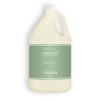 Picture of Terra Pure Green Tea Hotel Conditioner | 1 Gallon | For Hospitality & Vacation Rentals to Refill Dispensers | (Single Gallon)