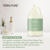 Picture of Terra Pure Green Tea Hotel Conditioner | 1 Gallon | For Hospitality & Vacation Rentals to Refill Dispensers | (Single Gallon)