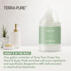 Picture of Terra Pure Green Tea Hotel Hand & Body Wash | 1 Gallon | For Hospitality & Vacation Rentals to Refill Dispensers | (Single Gallon)