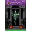 Picture of 36" x 80" Gray Door Holographic Rear Projection Screen with Mounting Hardware for Projecting Halloween Videos