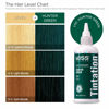 Picture of Kiss Tintation Semi-Permanent Hair Color Treatment 148 mL (5 US fl.oz) (Hunter Green)