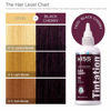 Picture of Kiss Tintation Semi-Permanent Hair Color Treatment 148 mL (5 US fl.oz) (BlackCherry)