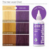 Picture of Kiss Tintation Semi-Permanent Hair Color Treatment 148 mL (5 US fl.oz) (Orchid)