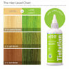 Picture of Kiss Tintation Semi-Permanent Hair Color Treatment 148 mL (5 US fl.oz) (Lime Light)