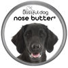 Picture of The Blissful Dog Flat-Coat Retriever Nose Butter - Dog Nose Butter, 8 Ounce