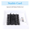 Picture of Lash Clusters Extensions 30D Individual Cluster Lashes D Curl 0.07mm 8-14mm Mixed Tray Black Mink DIY Eyelash Extensions Handmade by GEMERRY LASHES(30D-0.07-D, 8-14mm)