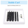 Picture of Lash Clusters Extensions 40D Individual Cluster Lashes D Curl 0.07mm 8-14mm Mixed Tray Black Mink DIY Eyelash Extensions Handmade by GEMERRY LASHES(40D-0.07-D, 8-14mm)