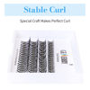 Picture of Lash Clusters Extensions 10D Individual Cluster Lashes D Curl 0.07mm 8-14mm Mixed Tray Black Mink DIY Eyelash Extensions Handmade by GEMERRY LASHES(10D-0.07-D, 8-14mm)