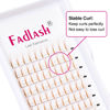 Picture of Colored Lash Extensions C Curl 0.07 10mm Brown Lash Extensions 6D Long Stem Premade Volume Fan Lashes Professional Premade Fans Eyelash Extension Supplies (Brown-0.07C, 10mm)