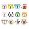 Picture of First Year Milestone Monthly Stickers, Qyeaber Newborn Baby 1-12 Months Photo Props Baby Belly Stickers, Baby Shower Registry Gift Scrapbook Album Photo Memory Keepsake for Baby Boy Girl (Round)