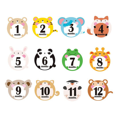 https://www.getuscart.com/images/thumbs/1357144_first-year-milestone-monthly-stickers-qyeaber-newborn-baby-1-12-months-photo-props-baby-belly-sticke_415.jpeg