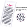 Picture of Premade Fans Eyelash Extensions 7D 0.10 D Curl Lash Fans Premade Volume Lash Extensions Individual Eyelashes Extension Supplies FADLASH (7D-0.10D, 8mm)