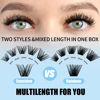 Picture of Lash Clusters GEMERRY Cluster Lashes 150 PCS Individual Lashes Two Styles Eyelash Clusters Wide Stem Soft Fluffy Cluster Eyelash Extensions DIY at Home (Sunshine/Rainbow-0.07-D-8-16MIX)