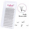 Picture of Premade Fans Eyelash Extensions 11D Lash Extensions C Curl 0.07 Premade Volume Fans Long Stem (11D-0.07-C, 8mm)