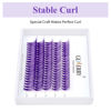 Picture of GEMERRY Individual Lashes 40 Roots Purple Cluster Lashes 100pcs D Curl 0.07mm Thickness 11-15mm Mix Purple Lash Extensions Colored Individual Lashes Cluster at Home