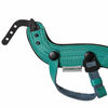 Picture of SPIDER HOLSTER - SpiderPro Camera Hand Strap v2 with Snap Assembly and Optional Wrist Strap - DSLR and Mirrorless Compatible (Teal)