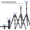 Picture of SIRUI AM223 Travel Carbon Fiber Mini Tripod with SL-100 Two-Section Carbon Center Column