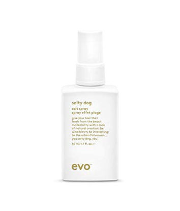 Picture of EVO Salty Dog Salt Spray - Hair Texture & Volume Spray - Beach Textured Hair, Natural Matte Finish - Travel Size, 50ml / 1.7fl.oz