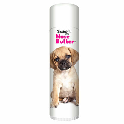 Picture of The Blissful Dog Puggle Unscented Nose Butter - Dog Nose Butter, 0.50 Ounce,UNSC-50OZ-PUGGLE